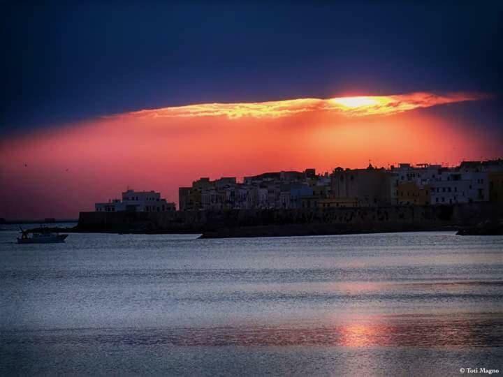 Beb Arcobaleno غالّيبولي المظهر الخارجي الصورة
